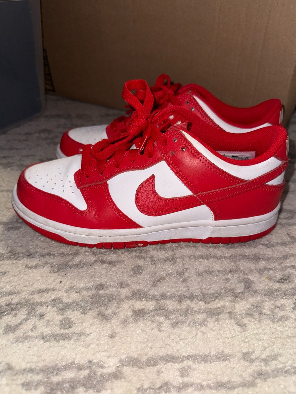 Youth Nike Dunk Sneakers (GS 4y))